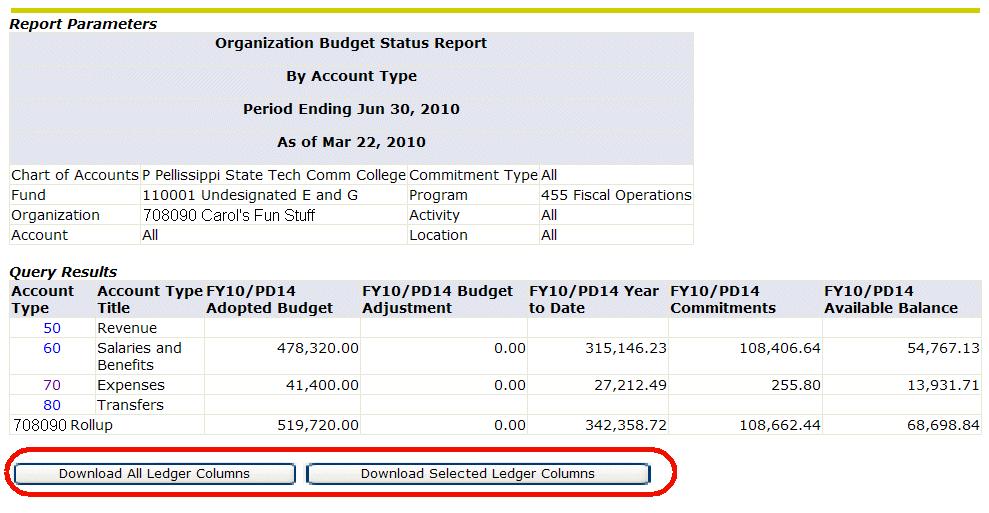 Downloading Budget Queries to Excel: Users can download budget query data to a Microsoft Excel spreadsheet and then edit it, according to their reporting needs.