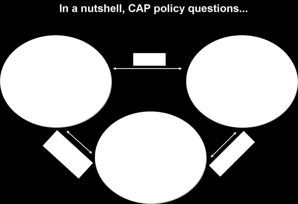 Figure 9 depicts the current share of CAP expenditure by policy dimension.