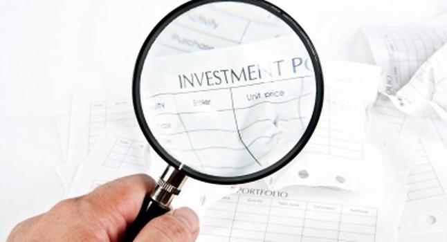 Introduction Preinvestment Considerations: Wholly Owned Entity vs.