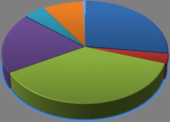 27%, Culture and Recreation 5%, Judicial 3%, and Housing and Development 9%, 2009 Program