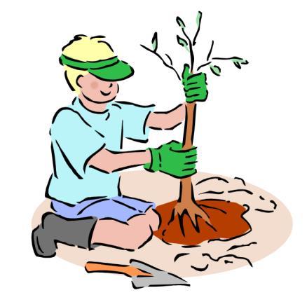 Landscaping Plumbing