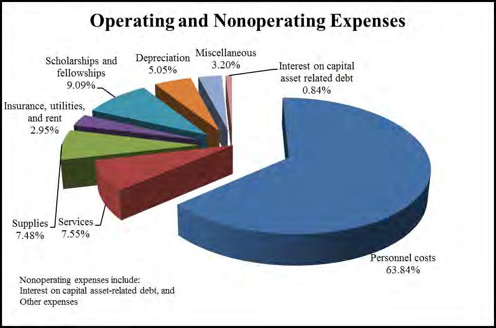 The following is a graphic depiction of total expenses by natural classification for the year ended June 30, 2011.