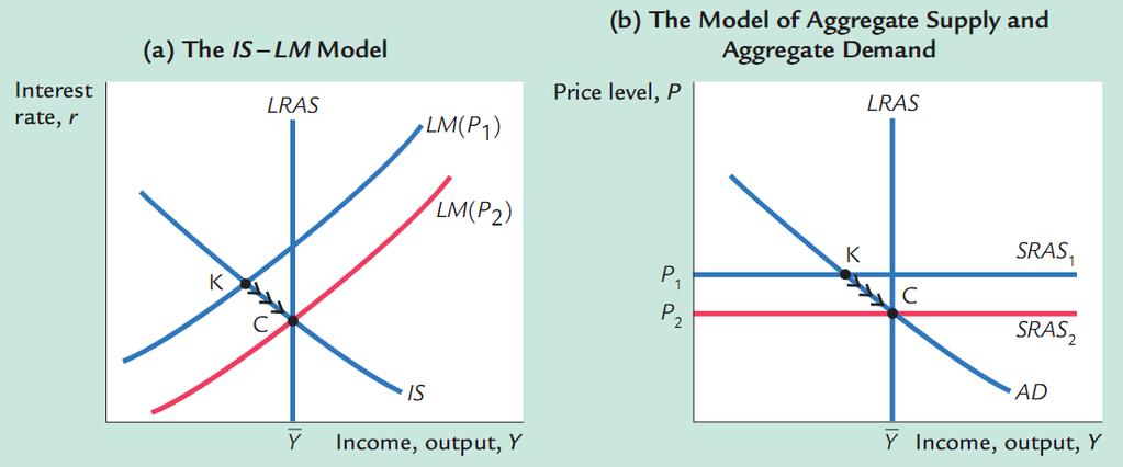 The Short-Run and Long-Run Equilibria We can also use the IS LM model to describe the economy in the long run when the price