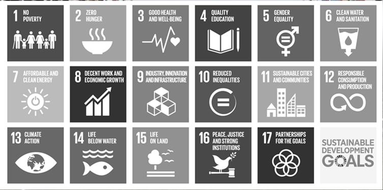 Meeting the SDGs through Impact