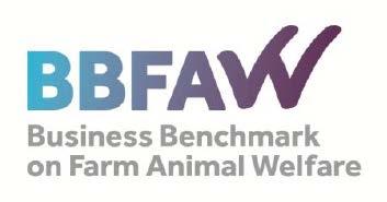 Beef Animal Welfare In line with EU Regulation 1099/09 Written procedures for Animal Welfare assurance within our production plants Infra-structural and handling techniques improvements Continuous