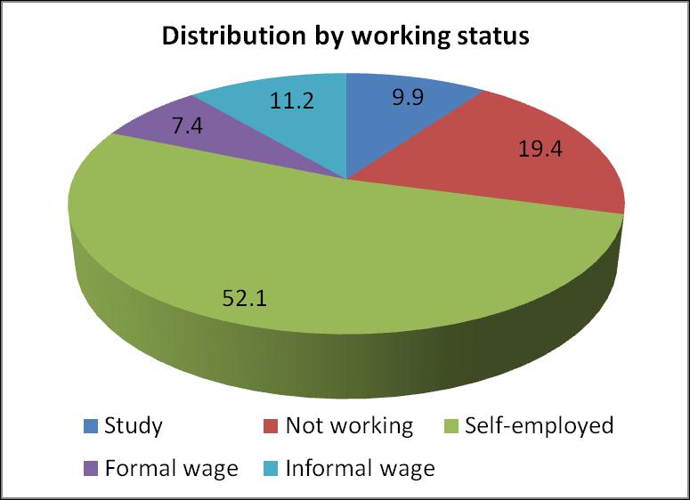 Appendix Figure 1: Distribution of Individuals (aged above 14) by Employment Status Source: VHLSS 2010 Figure 2: The Average Hourly Wage and the Total