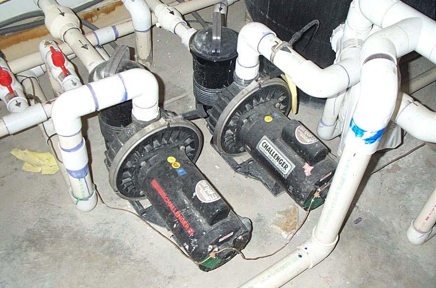 Comp #: 1110 Pool/Spa Pumps - Replace The contractor mentioned that the life expectancy