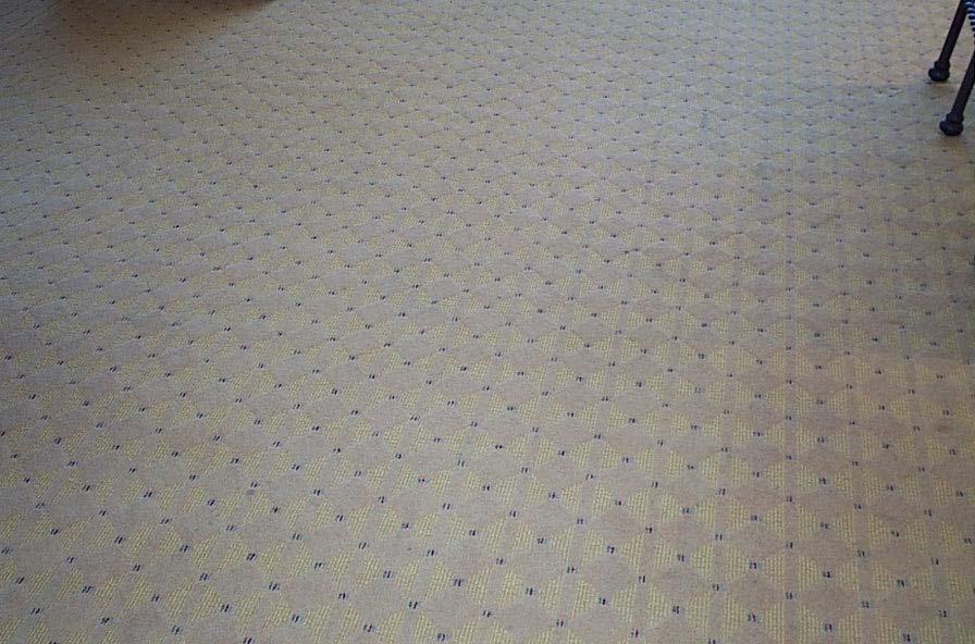 Comp #: 1501 Carpeting - Replace No significant wear patterns or stains noted at time of observation.