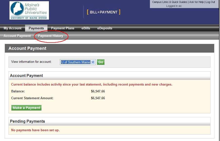 7. To view your payment history, select the Payment