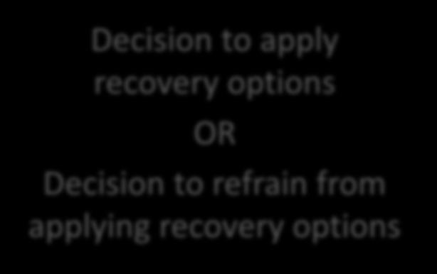 taken Recovery options do not have to be automatically applied when