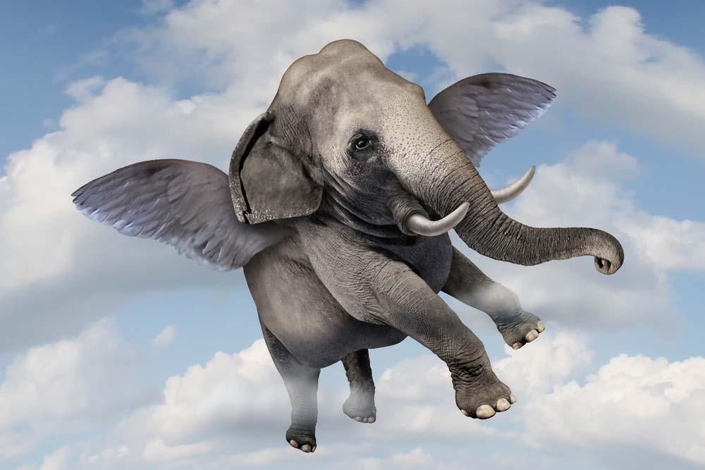 CAN ELEPHANT S FLY India s Sweet Spot : Accelerating Growth, Declining