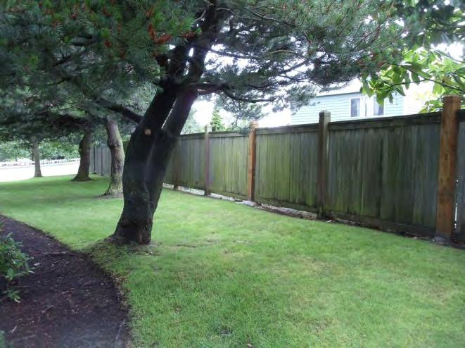 The common wood fencing has 6x6 posts, while the private fencing of