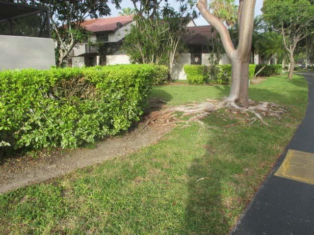 Client: 29086A Calusa Point - Site and Grounds Comp #: 2186 Landscaping - Refurbish (Recurring) Quantity: Numerous Areas Location: Landscaped common areas Evaluation: Refer to component #2185 for