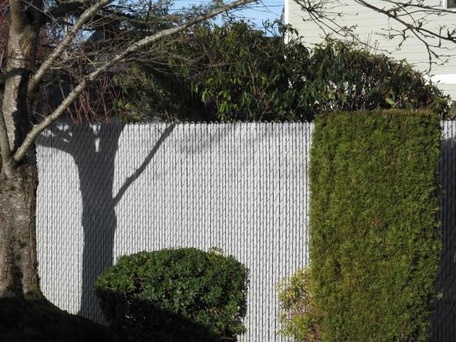 Comp #: 500 Chain Link Fence, North - Replace Quantity: Approx 150 linear feet Funded?