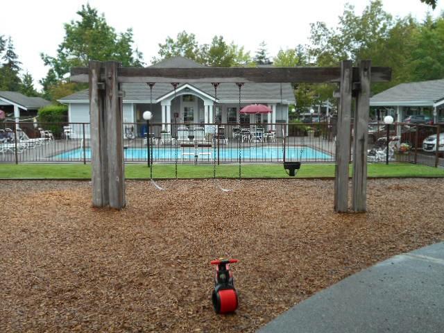 Comp #: 341 Swing Set - Replace Quantity: (1) metal/wood Funded?: No.