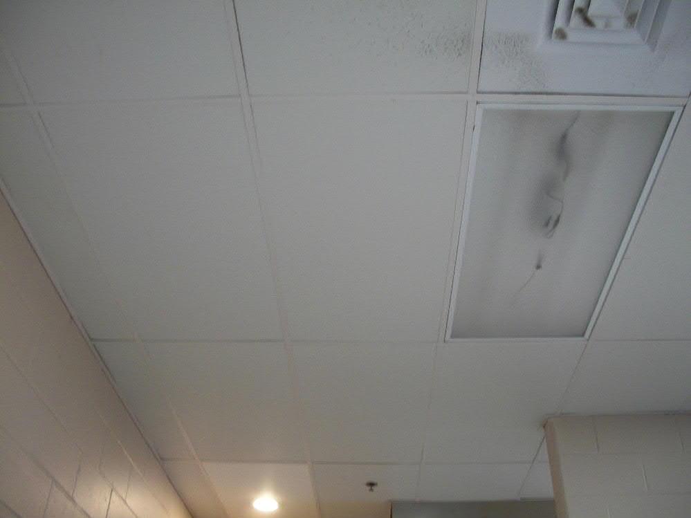 Ceiling Tile - 2' x 4' Kitchen Tile - 2028 Asset ID 1033 Useful Life 20 Replacement Year 2028 Remaining Life 12 800 square feet @ $1.50 Asset Cost $1,200.
