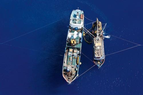 VOLUNTARY GUIDELINES FOR FLAG STATE PERFORMANCE - A NEW TOOL AGAINST IUU FISHING THE FOURTH GLOBAL FISHERIES