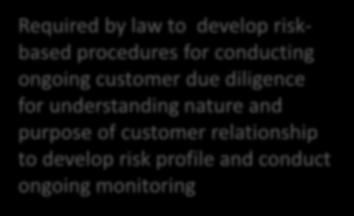 for day-to-day monitoring NEW: Ongoing monitoring NEW Required by law to develop riskbased procedures for conducting ongoing