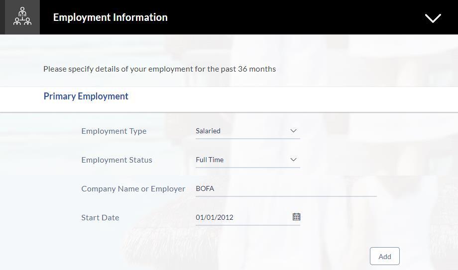 2.9 Employment Information In this section enter details of your employment over a defined period starting with your current primary employment.