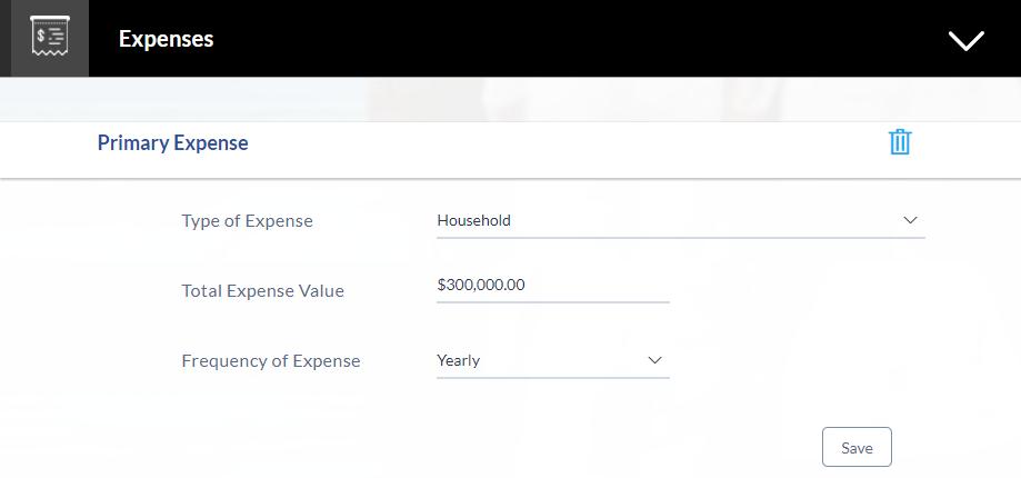 2.10.2 Expenses In this section enter details of all expenses you incur on a regular basis. You can add multiple expense records up to a defined limit.