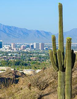reserving. This edition of Issues & Trends briefly describes these topics and other actions taken at the Spring meeting in Phoenix, Arizona, which was held March 26-31, 2015.