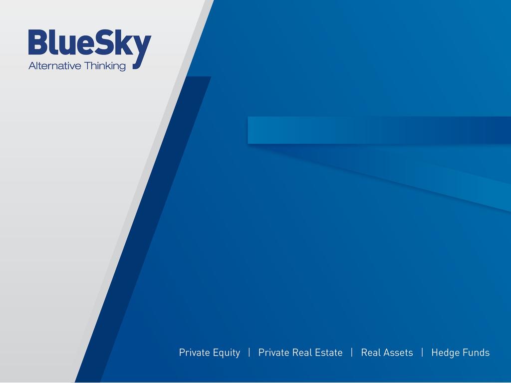 Blue Sky Alternative Investments