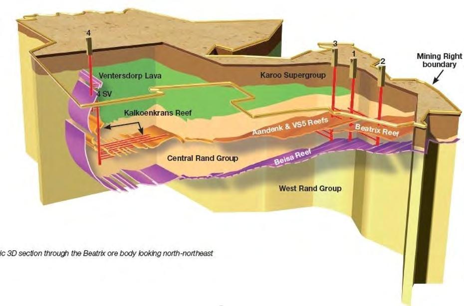 Beatrix: schematic of operations and geology Schematic 3D section through the Beatrix ore