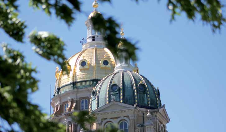 Legislature and Governor Plan sponsors Public Retirement Systems Committee Reviews public retirement system policy Investment Board Fund trustee Benefits Advisory Committee Advises on IPERS benefits