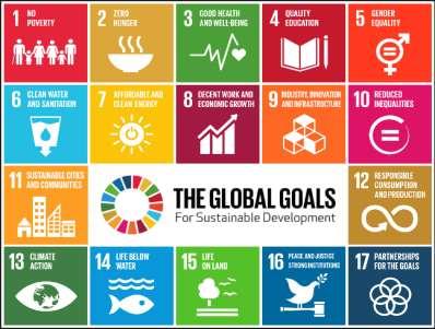 that is needed to achieve the SDGs, it may well be impossible to achieve the goals without buyin from asset management.