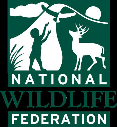 THE NATIONAL WILDLIFE FEDERATION AND AFFILIATE