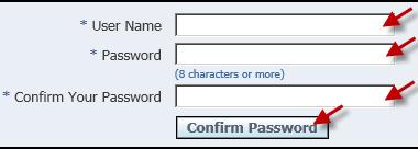 You will be taken to the Reset Password page. Enter your User Name.