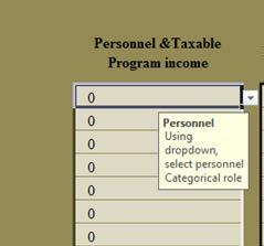 INPUT: PERSONNEL DATA 1. Use the drop down to select the personnel categorical role not an editable field.