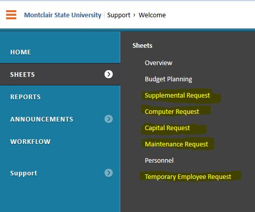 To enter all other Supplemental requests, first make sure the Level in the Budget Entry sheet is set at the top of the executive unit or college.