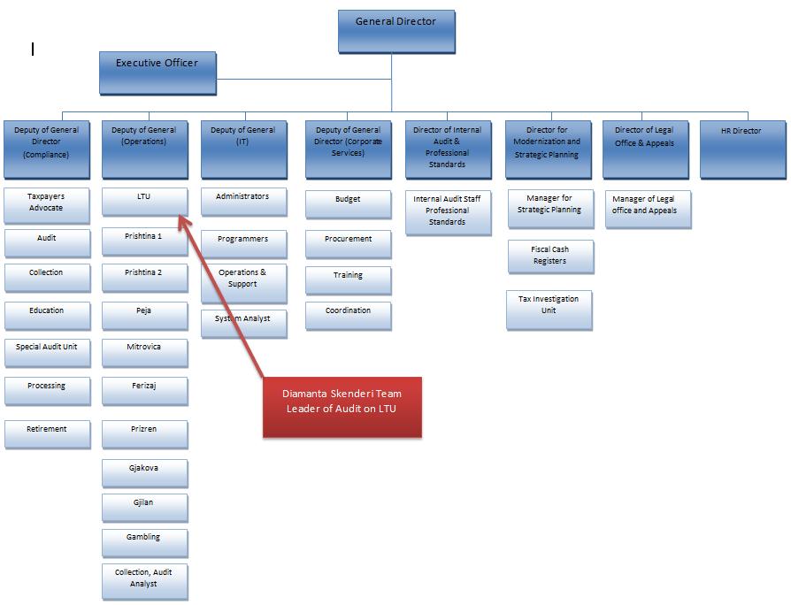 Figure 1-7 Organization Structure
