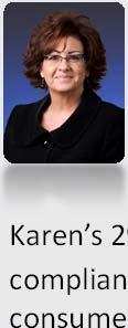 Karen D. Vines Vice President, IMA, Inc.