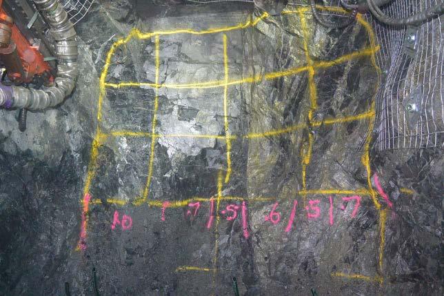 Deflector - High-Grade Primary Sulphide Ore Basalt Footwall and