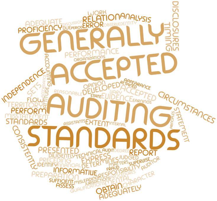 Audit Process The audit was performed in accordance with Generally Accepted Auditing Standards (GAAS) and Generally Accepted Government Auditing Standards (GAGAS) The audit process was a risk-based