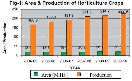 (Source: Annual Report 2010-11, Department of Agriculture & Cooperation, Ministry of Agriculture) Since 1991 there has been a tremendous growth in the production of fruits & vegetables.
