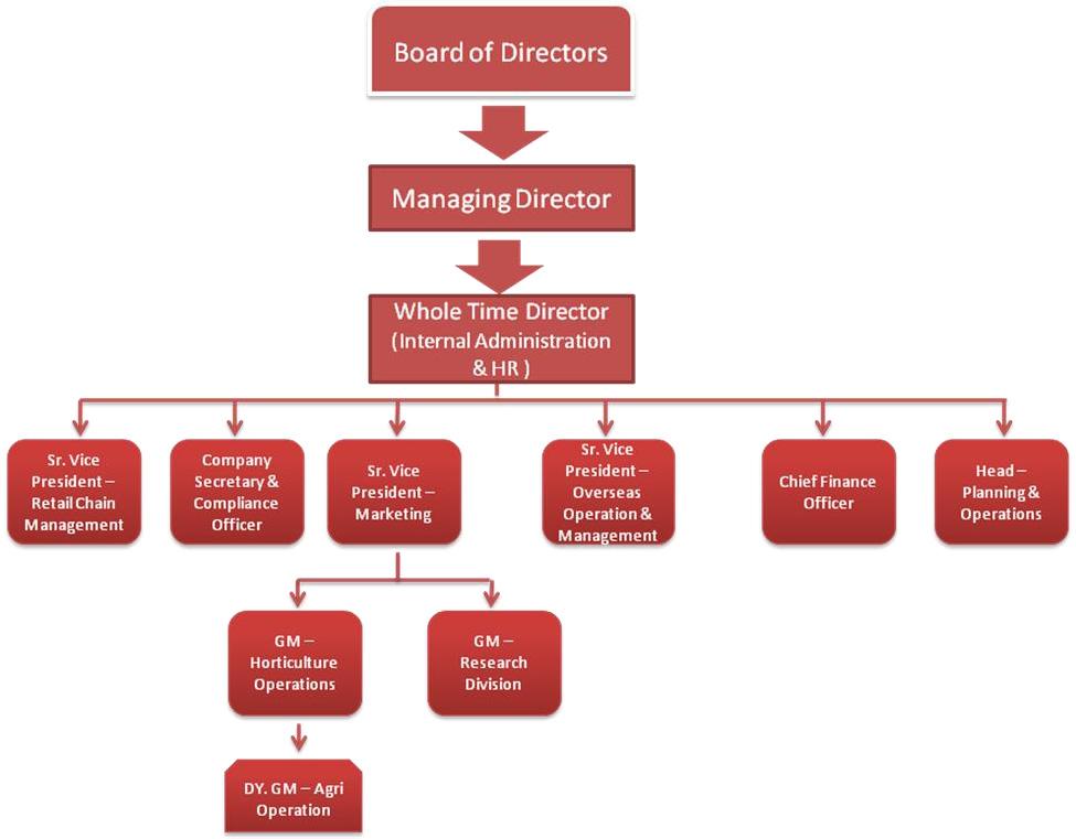 Management Organization Structure Corporate Governance Our Company is in compliance with SEBI Guidelines and Equity Listing Agreement in respect of Corporate Governance specially with respect to