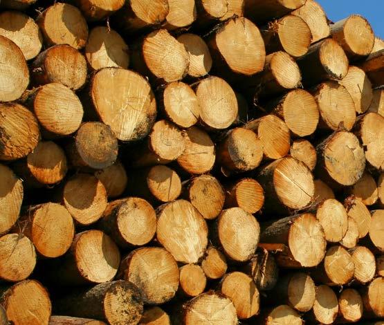 THE SUPPLY OF RAW MATERIALS CERTIFIED WOOD RAW MATERIALS Traceability certification guarantees that there is nothing controversial about the origin of the wood used and that this can be traced back