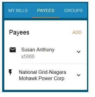 number will be matched in your Payee s network and the payment will be applied to that account number indicated. - What do the icons indicate that are next to my Payee names?