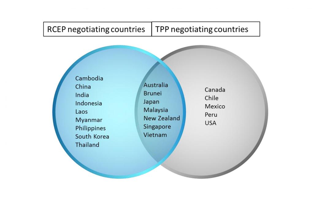 Furthermore, a number of Asia Pacific countries are engaged in both the TPP and RCEP negotiations and see both processes as providing possible pathways to a free trade area of the Asia Pacific.