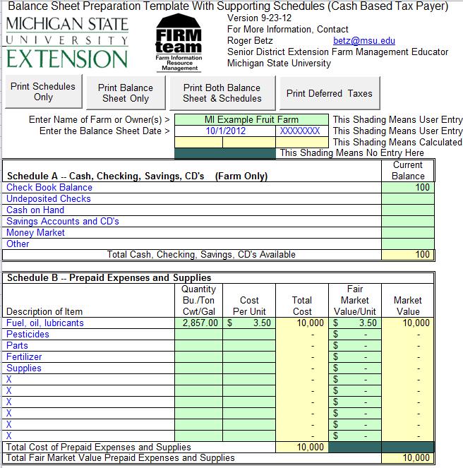 MSU Excel Balance Sheet Simple schedule based balance