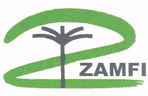 Zimbabwe Association of Microfinance Institutions creating sustainable