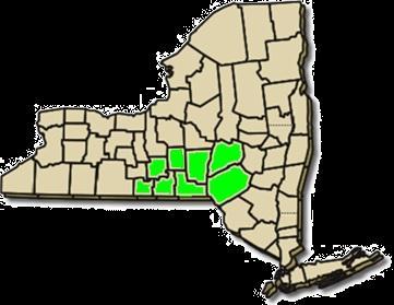 STAKEHOLDERS Diverse stakeholders in 8 NY Counties: Broome,