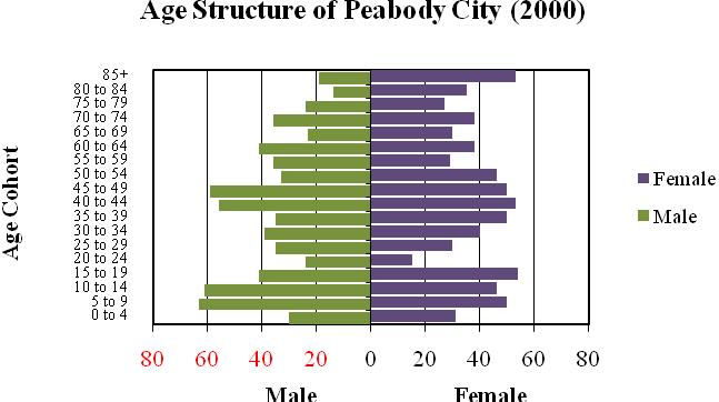 The population pyramid for Peabody City is shown below in Figure 2.6. This population pyramid reveals three significant trends.