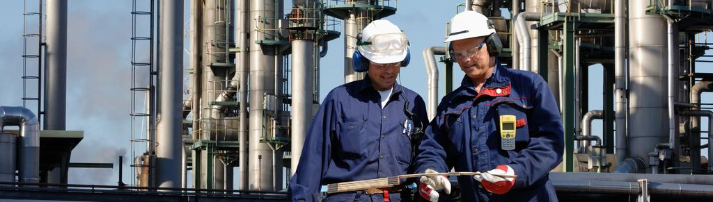 Occupational: Broad range of skills required Canada s oil and gas industry employed a diverse set of skills and occupational groups.