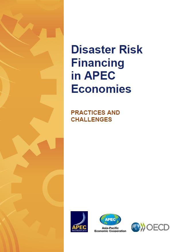 report on practices and challenges in disaster risk