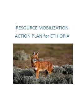 3. Develop an action plan that can help advance you toward a resource mobilization plan Stocktaking and next steps on: valuation of biodiversity and ecosystems identifying policy and practice drivers