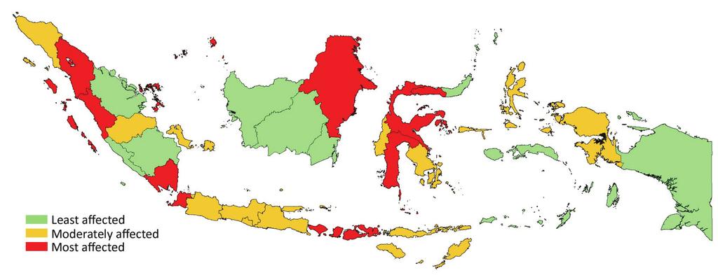 By the end of 2009, Indonesian households already started to recover Although not all provinces were equally affected The results from the second round of the CMRS indicate that the situation for